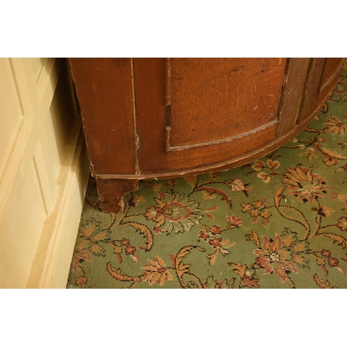 399 - 19th century freestanding double corner cupboard