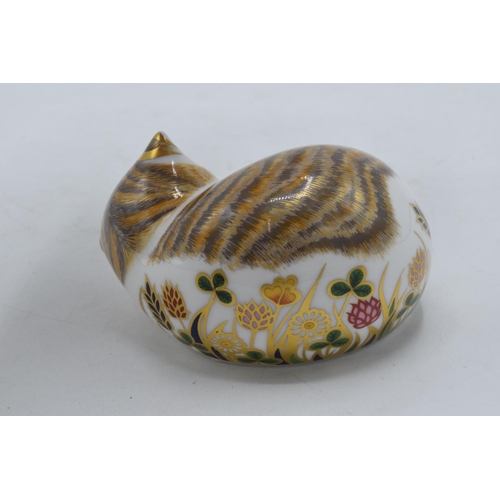 41 - Royal Crown Derby paperweights Cottage Garden Cat and Cottage Garden Kitten (2), first quality with ... 