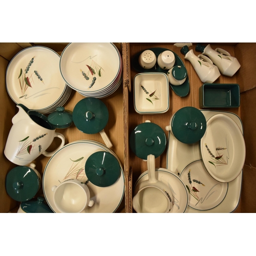 61 - A large collection of Denby Stoneware Greenwheat tea and dinner ware to include bowls, plates, tea p... 