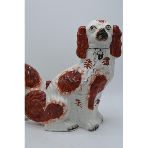 6A - A pair of late 19th century Staffordshire dogs with red decoration (2).