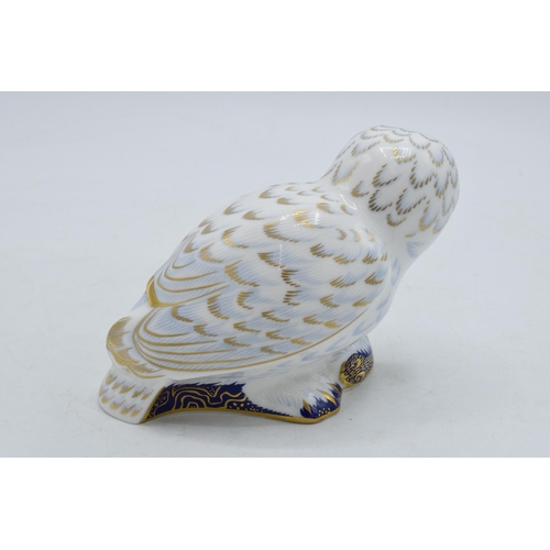 31A - Royal Crown Derby paperweight, Snowy Owl, an exclusive for the RCD Collectors Guild, red Royal Crown... 