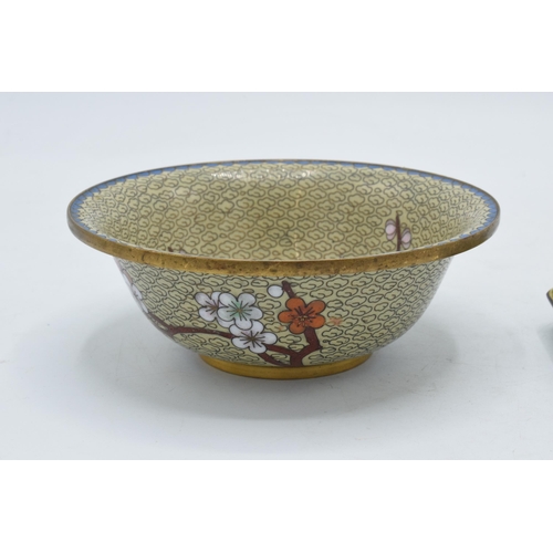 199 - Japanese cloisonné bowl with blossom tree on pale background, 13cm diameter, together with a similar... 