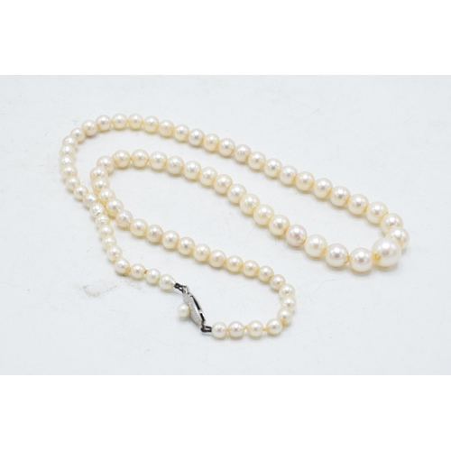 437 - Pearl necklace with 14ct gold strap, signed Mikimoto, circa 1950s, with graduated pearls from 4.2 to... 