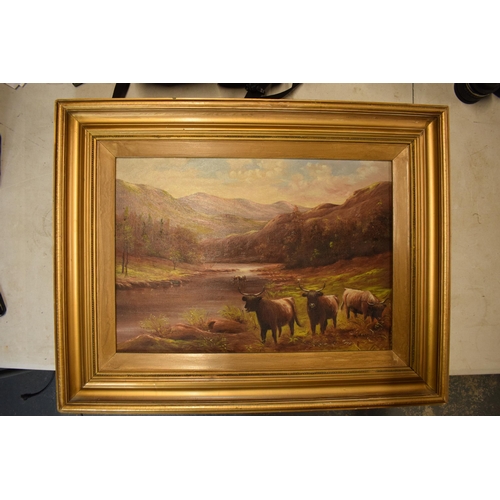 278 - Early 20th century oil on canvas in gilt frame depicting Highland cattle in a mountainous scene, pro... 