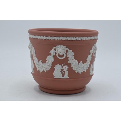 81 - Wedgwood Jasperware terracotta jardiniere / planter, 11cm tall.