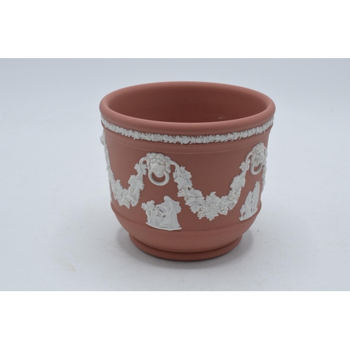 81 - Wedgwood Jasperware terracotta jardiniere / planter, 11cm tall.