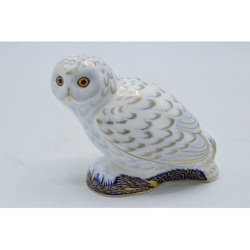 190 - Royal Crown Derby paperweight Snowy Owl, first quality with gold stopper.