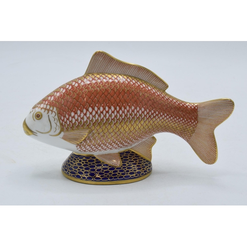 194 - Royal Crown Derby paperweight Golden Carp, first quality with gold stopper.