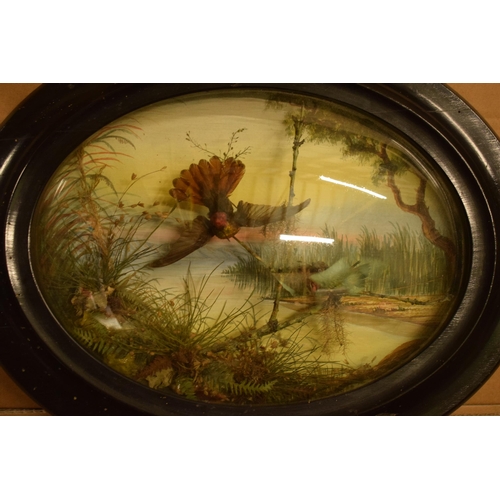 333 - An oval-framed taxidermy pair of Hummingbirds with realistic foliage, 43cm wide.