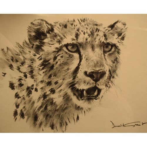 290A - Donald Grant MBE (1924-2001) charcoal drawing study of a Cheetah 22 x 27cm exc frame. Signed bottom ... 