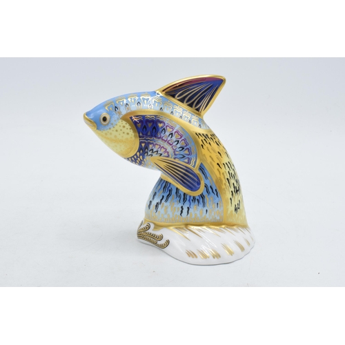 194A - Royal Crown Derby paperweight Guppy, limited edition, first quality with gold stopper.