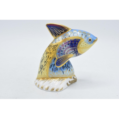 194A - Royal Crown Derby paperweight Guppy, limited edition, first quality with gold stopper.