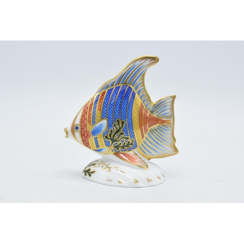 195A - Royal Crown Derby paperweight Pacific Angel Fish, limited edition,  first quality with gold stopper.