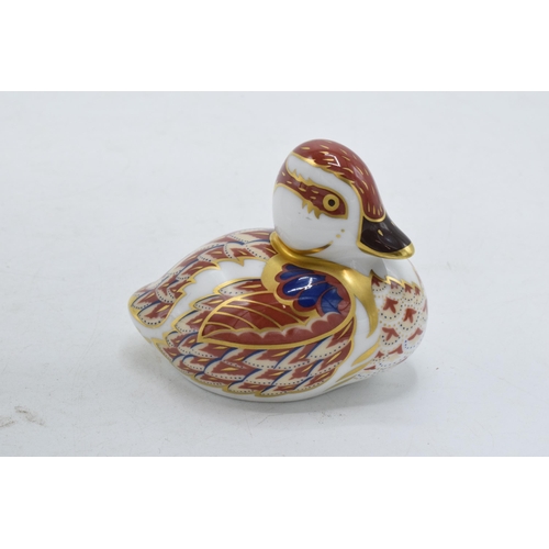 51A - Royal Crown Derby paperweight Swimming Duckling, first quality with gold stopper.