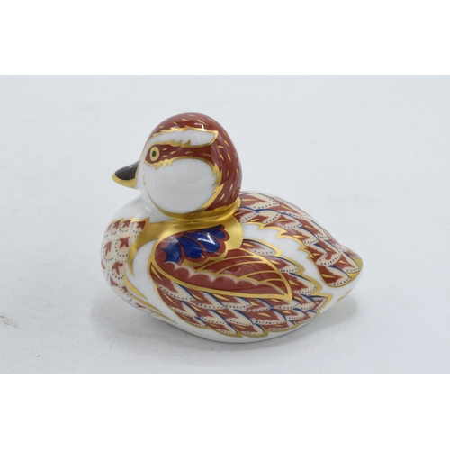 51A - Royal Crown Derby paperweight Swimming Duckling, first quality with gold stopper.