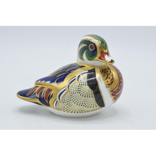 53A - Royal Crown Derby paperweight Carolina Duck, first quality with gold stopper.