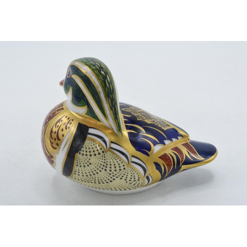 53A - Royal Crown Derby paperweight Carolina Duck, first quality with gold stopper.