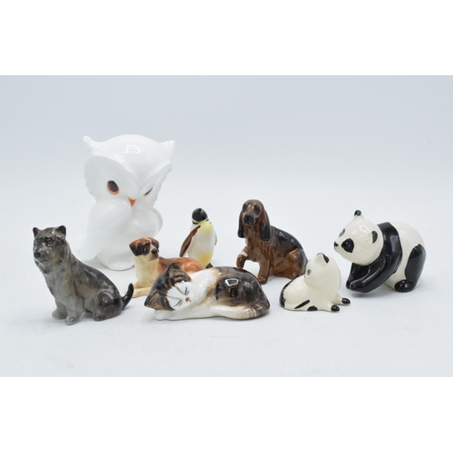 139 - A collection of pottery to include Beswick Penguin, Panda, Royal Doulton K dogs series, cat and simi... 