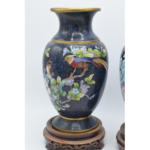 238 - A boxed pair of Chinese cloisonne vases with birds amongst foliage with rich blue background on wood... 