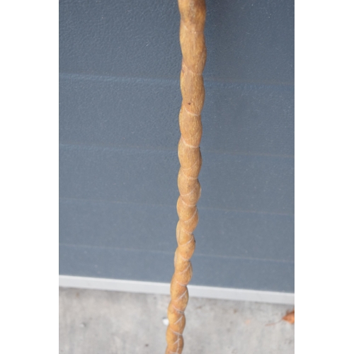 246 - Late 19th / early 20th century bull pizzle stick, 87cm long.