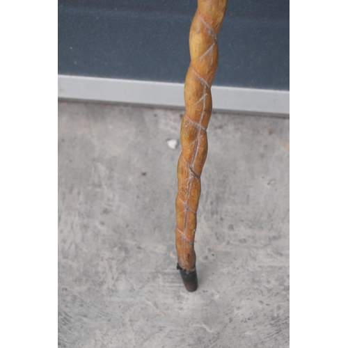 246 - Late 19th / early 20th century bull pizzle stick, 87cm long.