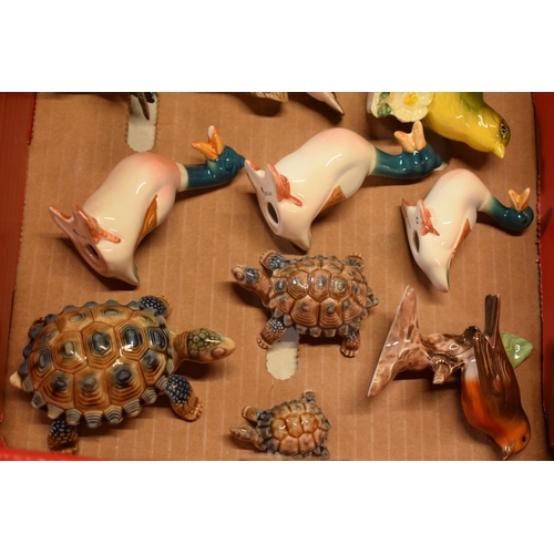 51 - A collection of Beswick birds to include Greenfinch, Bullfinch and others, Wade Tortoises, ducks and... 