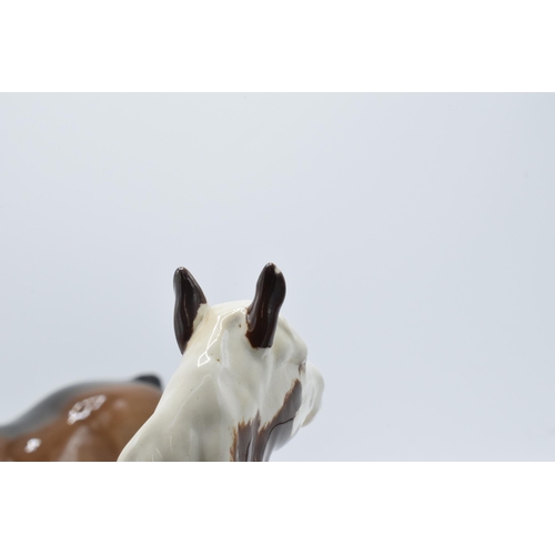 54 - Beswick 818 brown shire together with Skewbald pinto pony (small chip to ear) (2).