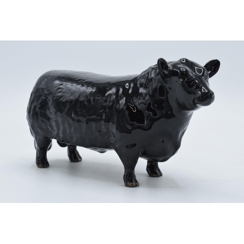 61 - Beswick Aberdeen Angus Bull 1562.