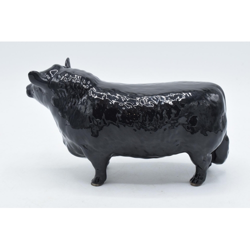 61 - Beswick Aberdeen Angus Bull 1562.