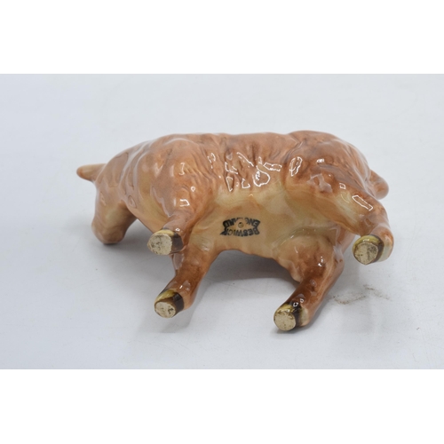 62 - Beswick Highland calf 1827D.