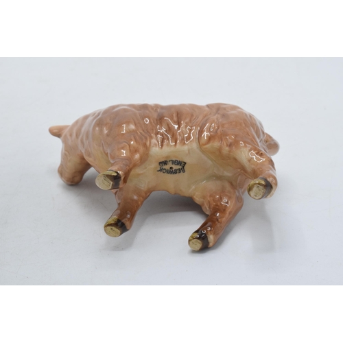 65 - Beswick Highland Calf 1827D.