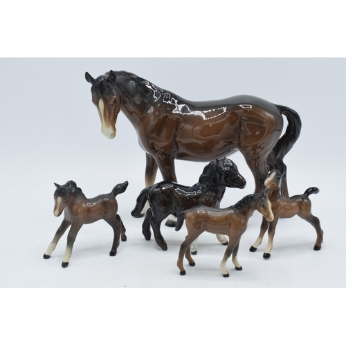 81 - A collection of brown Beswick horses and foal to include mare facing left 976, Shetland foal and oth... 