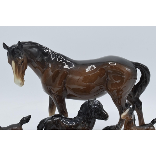 81 - A collection of brown Beswick horses and foal to include mare facing left 976, Shetland foal and oth... 