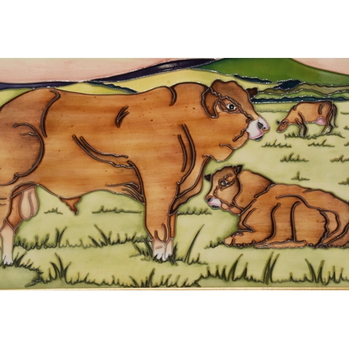 93 - Framed Moorcrooft trial plaque Limousins, 37 x 26cm.