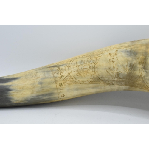 318 - 19th century scrimshaw horn depicting a rabbit, a hare and a Gipsy Lurcher, inscribed 1805 and 1813 ... 