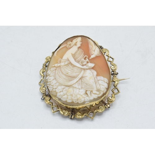 186 - Large carved Victorian shell cameo depicting a lady feeding a bird in gilt-metal frame, 6cm long.