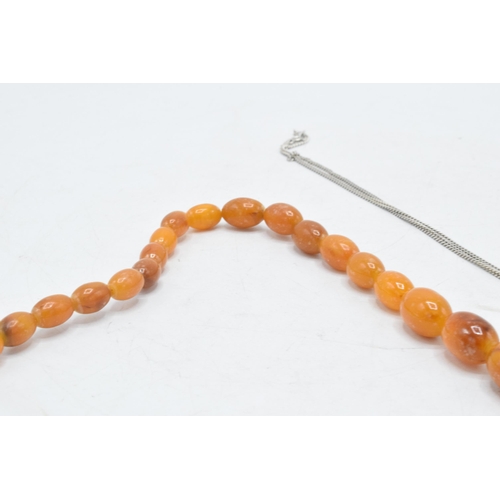 208 - A butterscotch amber (or similar) single-row necklace of graduating amber beads, approximately 37cm ... 