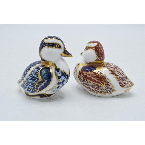 14 - Boxed Royal Crown Derby paperweights in the form of a Swimming Duckling and a Sitting Duckiling (2).... 