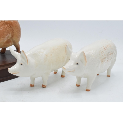 58A - Beswick pigs to include a Berkshire Boar 4118, Tamworth pig G215 and Champion Wall Queen together wi... 