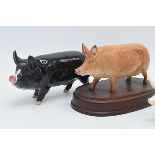 58A - Beswick pigs to include a Berkshire Boar 4118, Tamworth pig G215 and Champion Wall Queen together wi... 