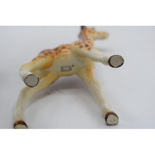 58E - Beswick Giraffe Calf 853.