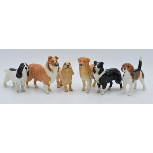 61 - Beswick small dogs to include a Border Collie, Rough Collie, Golden Retriever and 3 others (6).