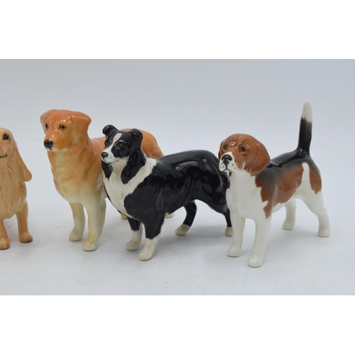 61 - Beswick small dogs to include a Border Collie, Rough Collie, Golden Retriever and 3 others (6).