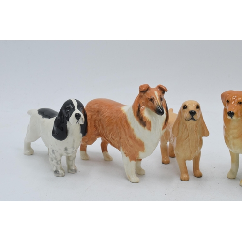 61 - Beswick small dogs to include a Border Collie, Rough Collie, Golden Retriever and 3 others (6).