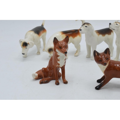 62 - A collection of Beswick to include 5 foxhounds and 2 foxes (7).