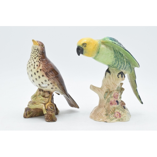 68 - Beswick Thrush 2308 and Parakeet 930 (2) (both damaged).