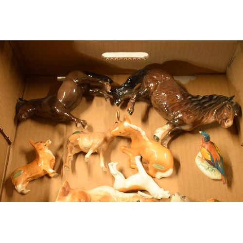 58F - A collection of Beswick animals to include cats, dogs, Shetland foal, horses, foals and others (Qty)... 