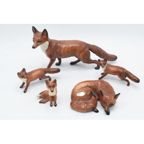 60A - A collection of Beswick foxes to include large standing fox 1016, curled fox 1017, and 3 others (5).