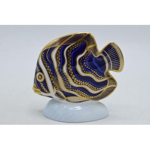 12 - Royal Crown Derby paperweight Koran Angel Fish, first quality with gold stopper.