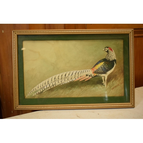 27 - Donald Birbeck: watercolour of a bright coloured pheasant, signed by Birbeck 1920, a former Royal Cr... 